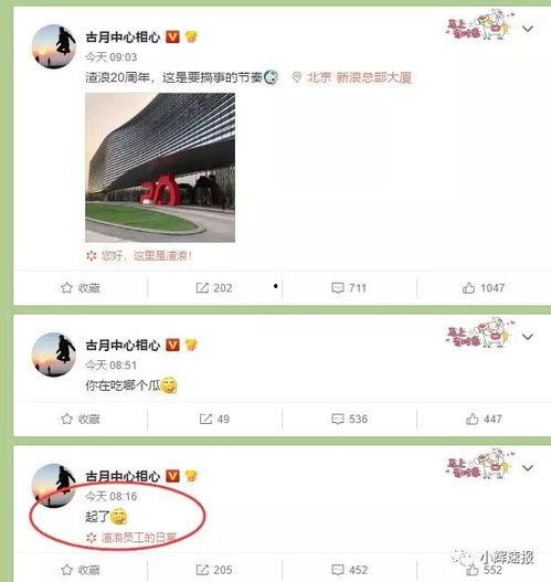 吃瓜娱乐微博头像