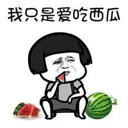 吃瓜娱乐了,揭秘娱乐圈幕后故事