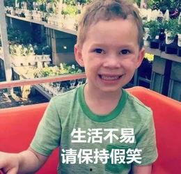 娱乐吃瓜酱男孩发表情包